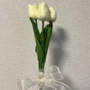 Nの画像