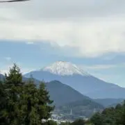 はなの画像