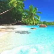 Tiki waveの画像