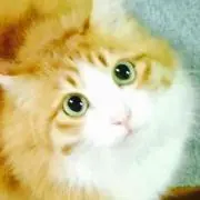 さくらもも