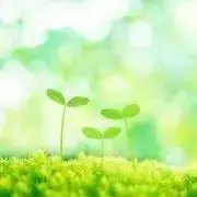 ましゅの画像