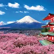 たからマーケットの画像