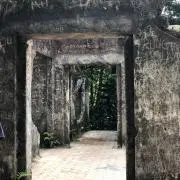URUの画像