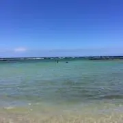もにちゃの画像