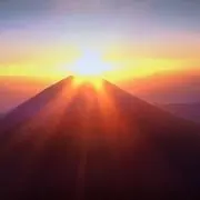 レモンの画像