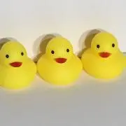 まひるのいまる