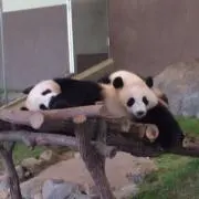 あ。の画像