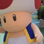 あずきの画像