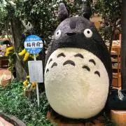 たーた