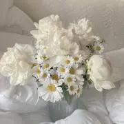 cocoの画像