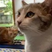 kiki♡の画像