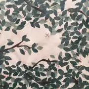 ｈｏｋｋａの画像