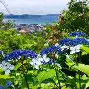 h-0624の画像