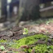 hmhmの画像