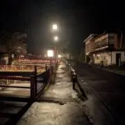 かいの画像
