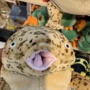 洗濯バサミの画像