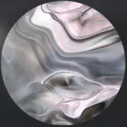 ハチワレの画像