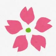 さくらの画像