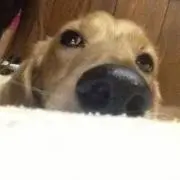 yukachiの画像