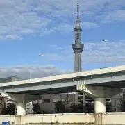 わーちゃん