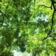 fusaの画像