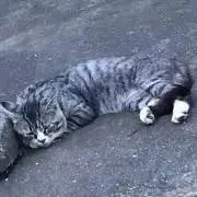 なおの画像
