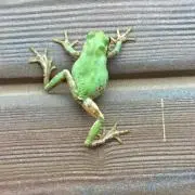 ムーちゃんの画像