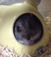 5656☆☆の画像