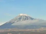 きなこの画像