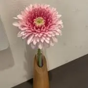 koyumi☆*の画像