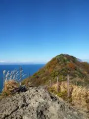 やさしひとの画像