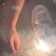シ ョ ウの画像