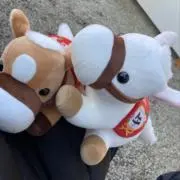 army♪の画像