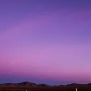 ¨̮⃝の画像