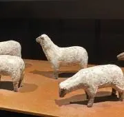 あいあい