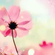 niko☆の画像