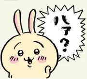 ｙの画像