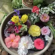 花子さんの画像