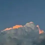 さるぺい