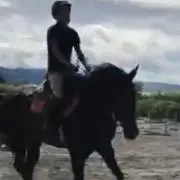 フェリシア
