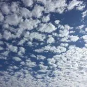 まふの画像