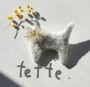 tette.の画像