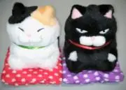 しば猫の画像