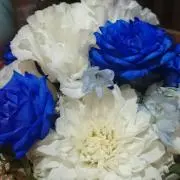 ちろるの画像