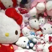 わかめ【お気軽にコメント下さい】の画像