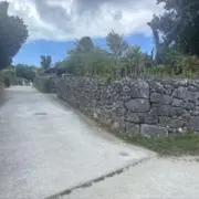 こっこの画像