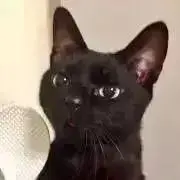 hの画像
