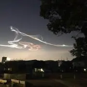 すわんの画像