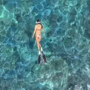 umiの画像