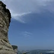 yuu プロフ確認⚠️